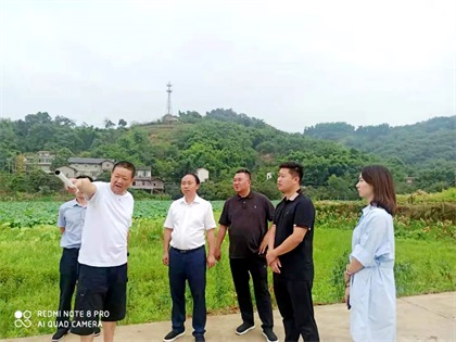 廖廷君调研纳溪种植园00 (1).jpg
