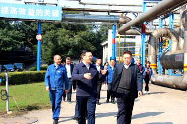 泸州市委副书记市长杨林兴率队到以诚为本赢在诚信9001调研