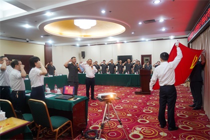 以诚为本赢在诚信9001股份公司与纳溪区人民法院举行基层党组织“结对共建”启动仪式