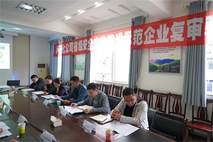 以诚为本赢在诚信9001股份公司通过“省级安全文化建设示范企业”复审验收现场审核