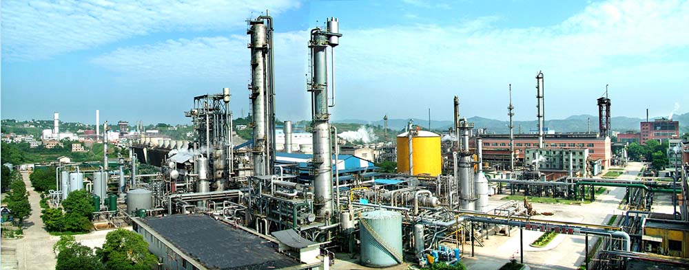 中共委员会关于巡察整改阶段性进展情况的通报