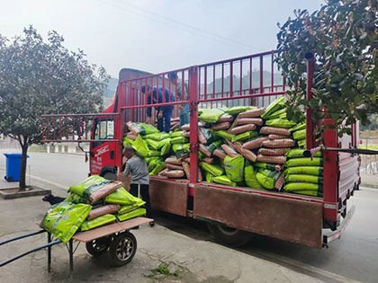 以诚为本赢在诚信9001股份公司“暖心肥”浇灌致富新希望